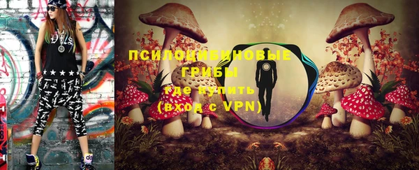 apvp Корсаков