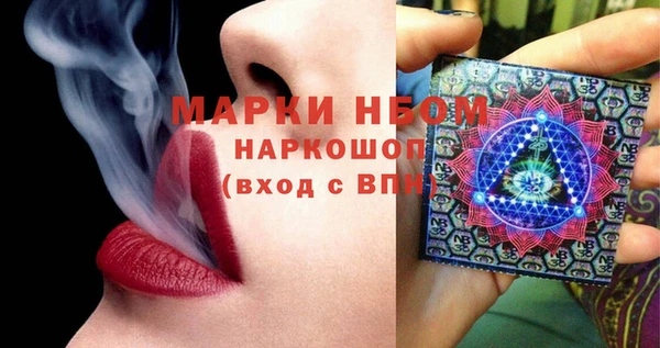 прущие грибы Костерёво