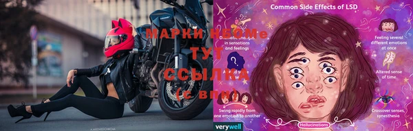 прущие грибы Костерёво