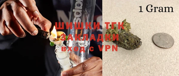 прущие грибы Костерёво