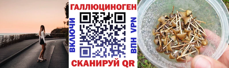 Купить закладки  Вельск  Псилоцибиновые грибы Magic Shrooms 