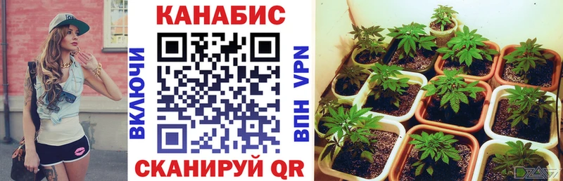 МАРИХУАНА Ganja  Купить  Вельск 